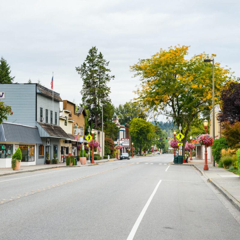 A quiet small-town street lined with shops, hanging flower baskets, trees, and American flags on a cloudy day. There are no people or cars visible, and the scene appears calm and well-kept.